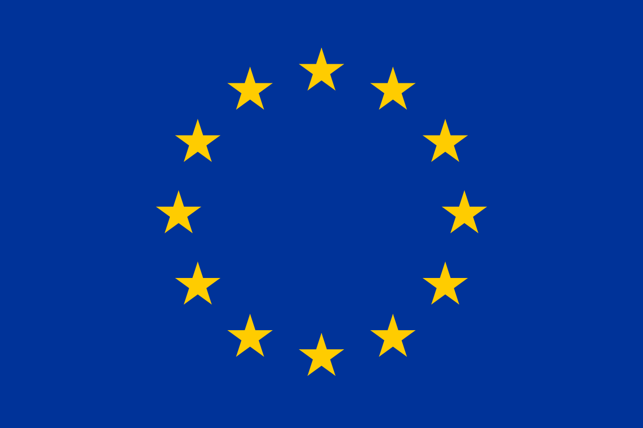 Euro Flag